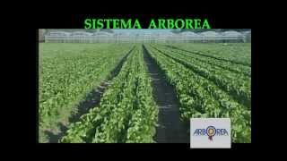 preview picture of video 'SISTEMA ARBOREA.mpg'