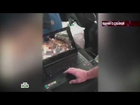 ПАНИН И СОБАКА (ОРИГИНАЛ) 18+