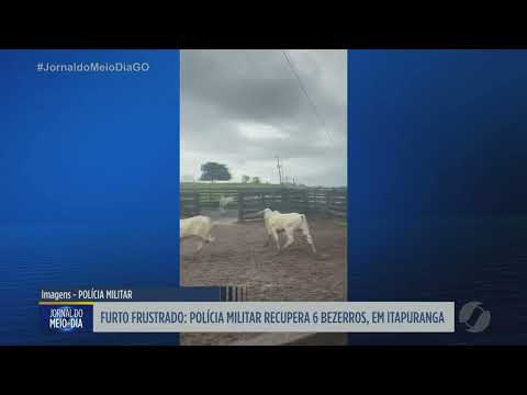 Polícia recupera seis bezerros furtados em Itapuranga