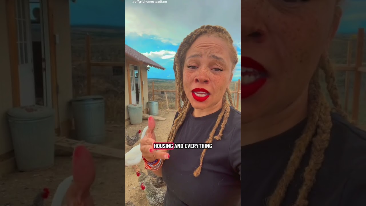 Click my link to get the Offgrid Planning Workbook 💛