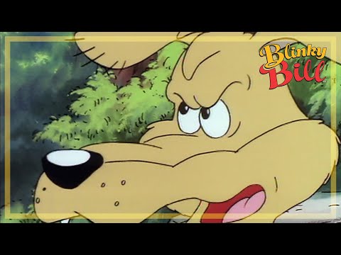 BLINKY BILL AND THE LOST PUPPY - Episode 12 - Season 2 - The Adventures of Blinky Bill