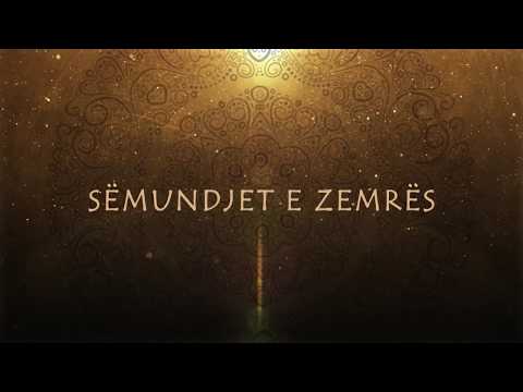 15. Lakmia, sëmundje e zemrës - kuptimi dhe pasojat - Enis Rama