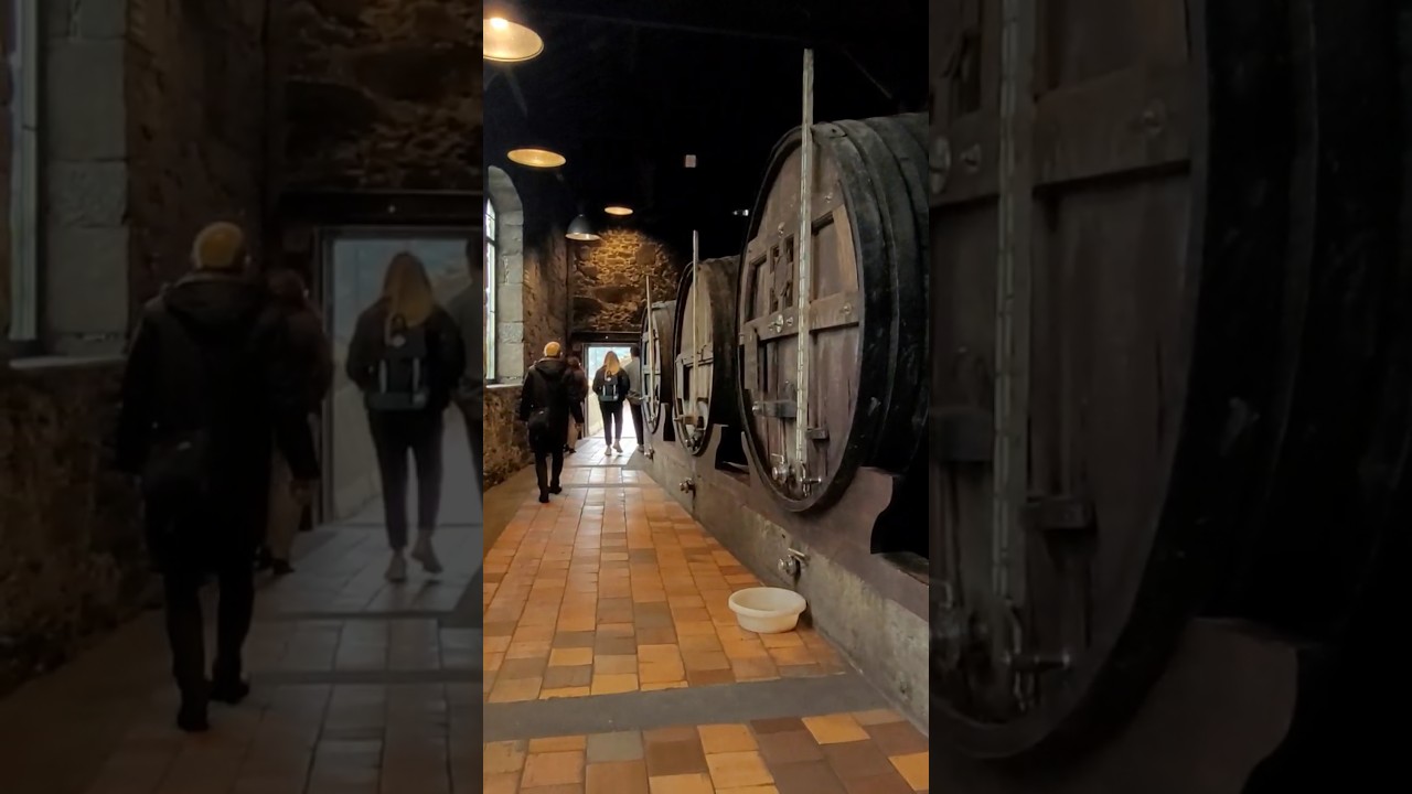 YouTube Short thumbnail