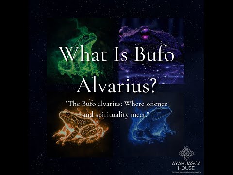 Discover 🌵✨ What Is Bufo Alvarius? 🐸💫 Why Does It Matter?