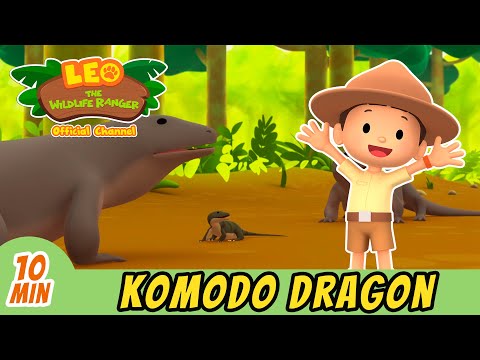 Komodo Dragon | Help The Lost Baby Dragon! | Full Episode! | Leo the Wildlife Ranger | Kids