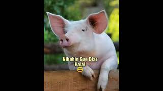 memelucu, video lucu bikin ngakak ??#shorts