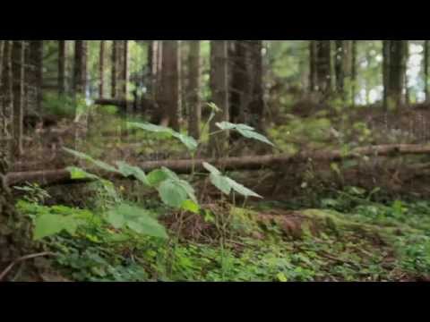 Of The People (Liturgy #001) - Good Good Father