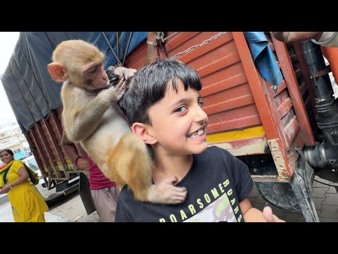 Ye Little Monkey Must hai 😱 | Yaatri