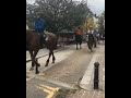 Horse Riding In Wimbledon Village England