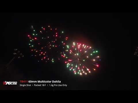 TB411 60mm Multicolor Dahlia (Single Shot Shell) - '76 Pro Line 2025 Production