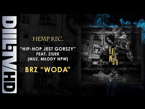 BRZ - Hip Hop Jest Gorszy feat. Ziuek (prod. Młody NPW) (audio) [DIIL.TV]