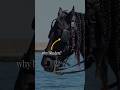 Why do people cover their horses eyes?#facts#CuriousMindsFeed