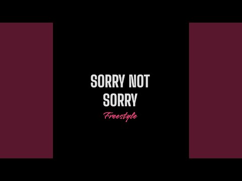 SORRY NOT SORRY FREESTYLE
