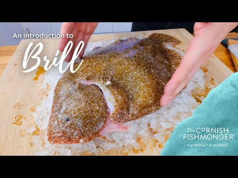 An introduction to Brill