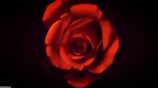 Depeche Mode - I Feel Loved (Danny Tenaglia Labour of Love Edit)(Sub)