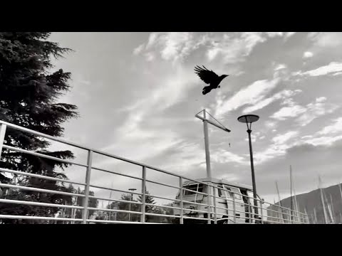 SYS YVES - ROULÉ FÒ #2 [ RIP BIGI aĸa BIG S, MICHAEL BAISIE ] ( OFFICIAL MUSIC VIDÉO / MEMORY CLIP )