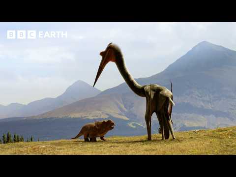 Baby Pachyrhinosaurus Struggles to Survive in the Wilderness | Walking with Dinosaurs | BBC Earth