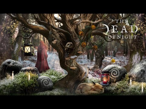 Winter Solstice Sanctuary Ambience ☀️❄️🦌🕯️ | The Winter Solstice | Winter Forest w/ Background Music