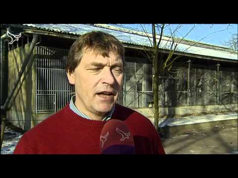 Nieuws zaterdag van 11-02-2012