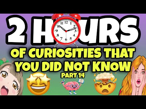 2 HOURS OF CURIOSITIES AND THINGS YOU DIDN’T KNOW 🧠⏰ #14