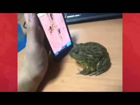 Mandik Is Amazing Work Must  Watch