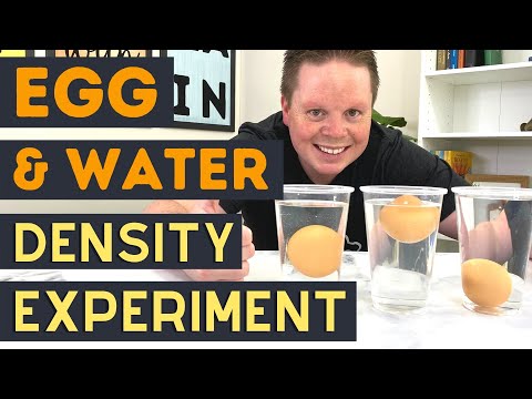 What Makes An Egg Float In Water? | Freshwater VS Saltwater Density | Egg and Saltwater Experiment