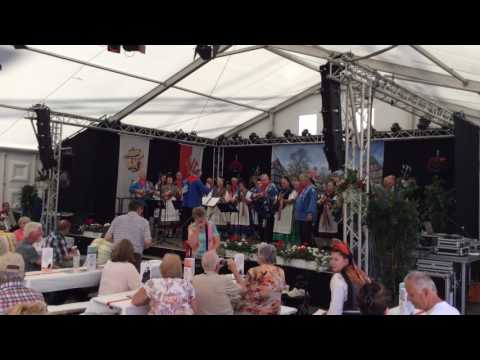 Auftritt der SST Rüddingshausen auf dem Hessentag 2017 in Rüsselsheim (Trachtenland Hessen)