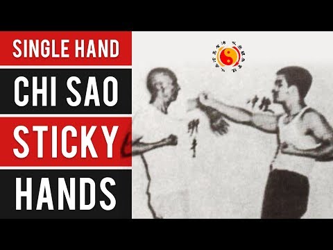 Wing Chun Single Hand Chi Sao - Sticky Hands