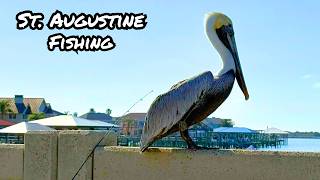 Saltwater Mornings, Irish Flavors, Old City Vibes | St. Augustine Fishing & Day Trip