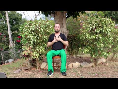 20 min Gentle Chair Yoga with Jacob Cino