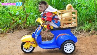 Download lagu Luby Monyet Lucu Mengajak Bebek Naik Motor Vespa mp3 Download lagu Luby Monyet Lucu Mengajak Bebek Naik Motor Vespa mp3
