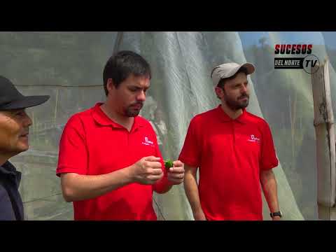 VISITA DE FUNDACION MAINEL A CUSCATLÁN