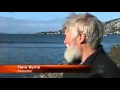 Whale Swims Into Derwent River