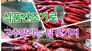 가정용 식품건조기로 고추말리기 팁 몇가지 알려 드려요