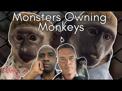 Monkey Masters: The Dark Side to Primates in the Pet Trade