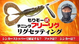  もりぞー式チニング・フリーリグ リグセッティング超解説