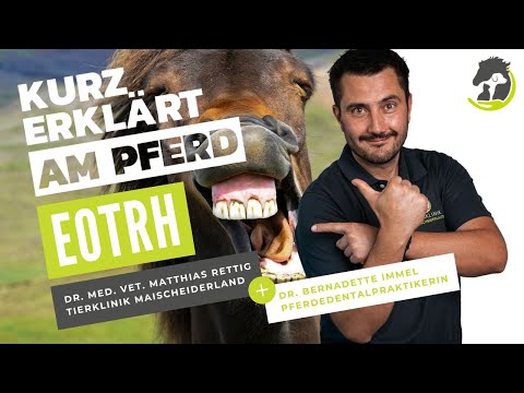 EOTRH - Zahnerkrankung beim Pferd. Erklärung, Diagnose und Behandlung. Kurz erklärt am Pferd.