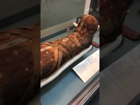 Cleopatra mummy? 😱