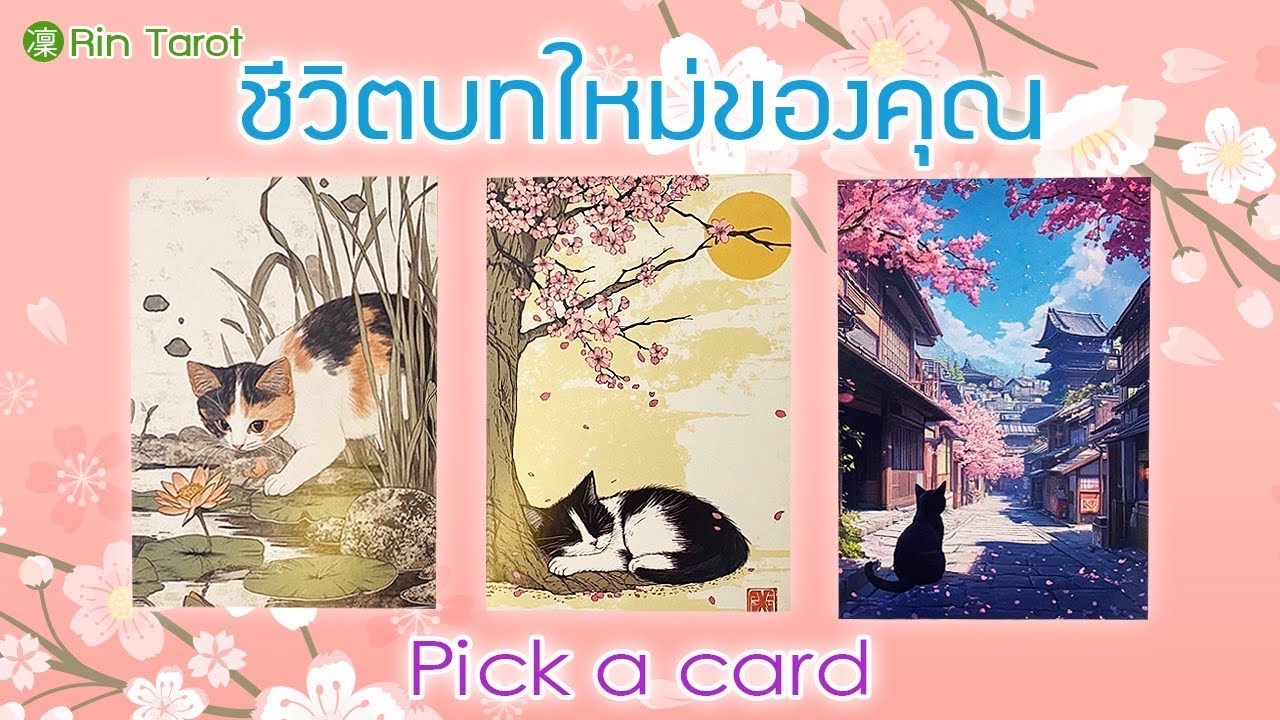 ชีวิตบทใหม่ของคุณจะเป็นแบบไหน |  Pick a Card