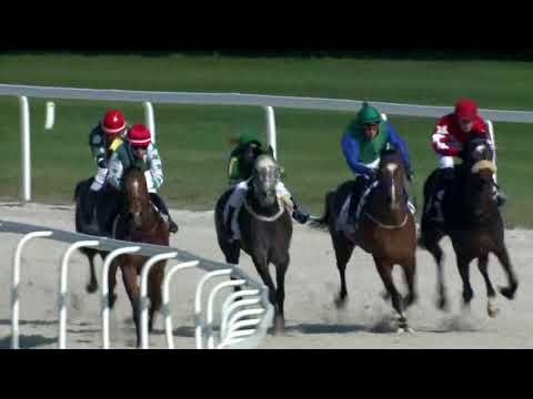 2018.04.08. 5. futam - DŐRY JÓZSEF EMLÉKVERSENY (III.kat.) (szintetikus pálya)