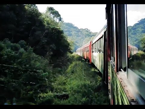 Jogadores do Sub-15 e Sub-14 foram a Morretes com a Serra Verde Express