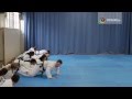 TKD MADE FUN FOR KIDS Creative Games