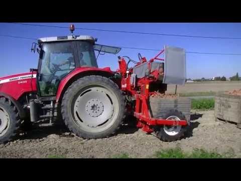 Dewulf P3CL Profi - 1-row mounted top lifting harvester