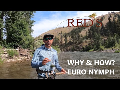 ESN Tight Line Euro Nymphing // Why? How do I Euro Nymph?
