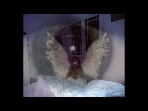 [FREE] Paris Texas Type Beat - "Dia"