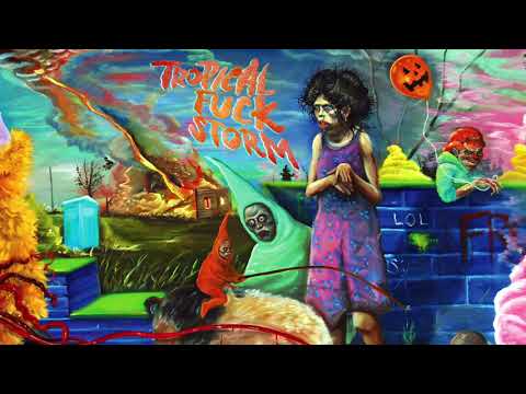 Tropical Fuck Storm - This Perfect Day (feat. Amy Taylor) (Official Audio)
