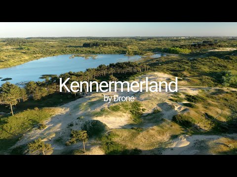 Green Forest At Sand Dunes Near The Vogelmeer Within Zuid-Kennemerland National Park In Netherlands