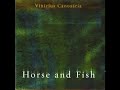 Vinicius Cantuária ‎– Horse And Fish (2004 - Album)