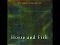 Vinicius Cantuária ‎– Horse And Fish (2004 - Album)
