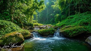 Лесной ручей Спокойствие: Расслабляющая музыка, звуки воды и птиц для спа, йоги, сна и релаксации